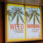 Asistentes debatieron sobre Cannabis en el ciclo “Controversias Científicas”